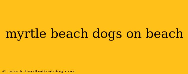 myrtle beach dogs on beach