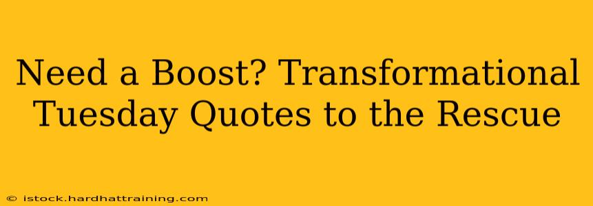 Need a Boost? Transformational Tuesday Quotes to the Rescue