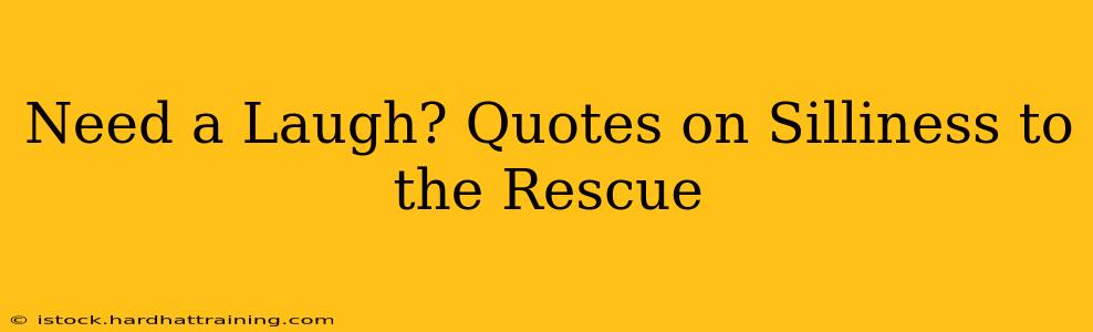 Need a Laugh? Quotes on Silliness to the Rescue