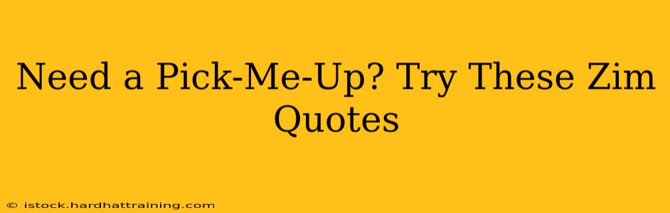 Need a Pick-Me-Up? Try These Zim Quotes