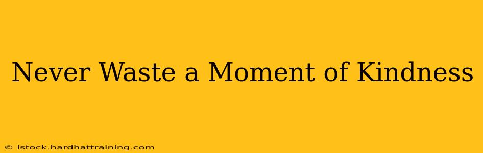 Never Waste a Moment of Kindness