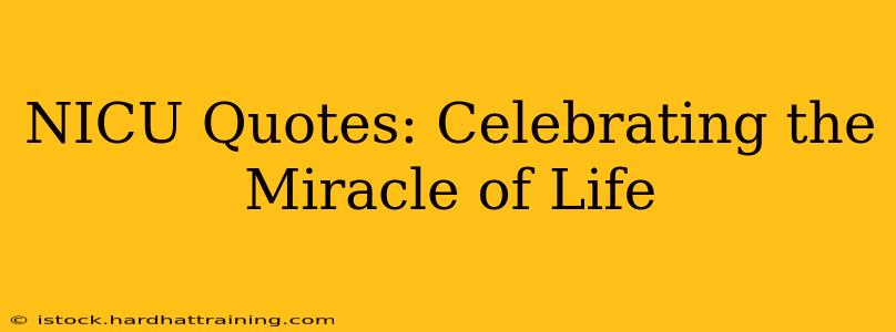 NICU Quotes: Celebrating the Miracle of Life