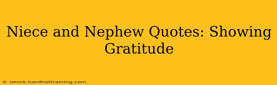 Niece and Nephew Quotes: Showing Gratitude
