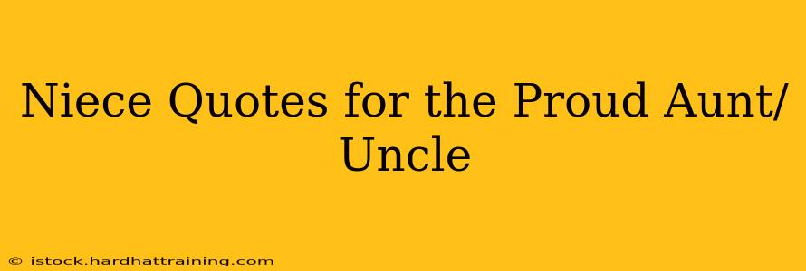 Niece Quotes for the Proud Aunt/Uncle