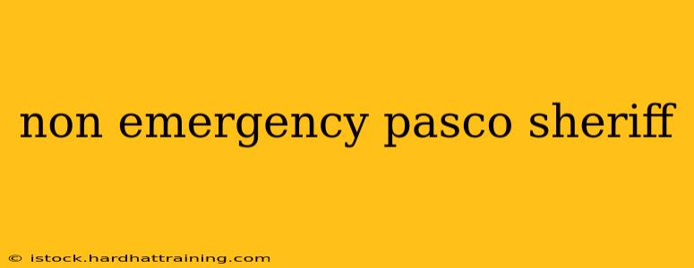 non emergency pasco sheriff