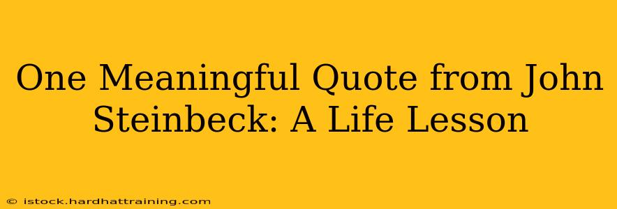 One Meaningful Quote from John Steinbeck: A Life Lesson
