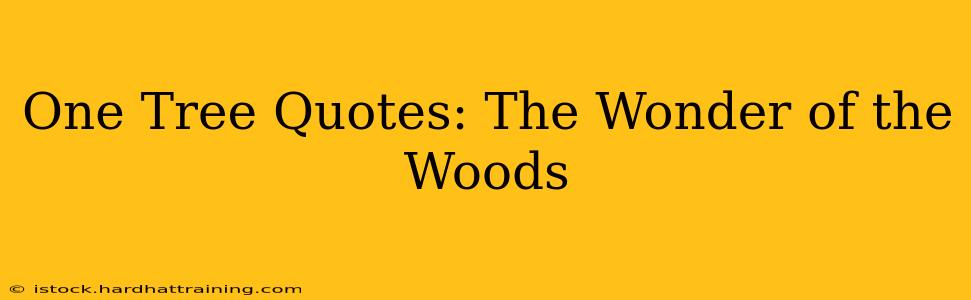 One Tree Quotes: The Wonder of the Woods