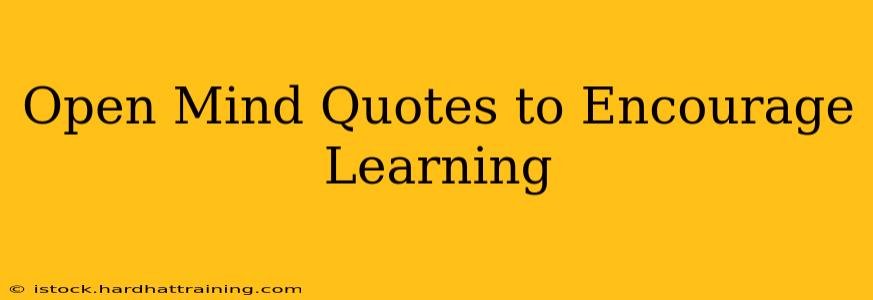 Open Mind Quotes to Encourage Learning