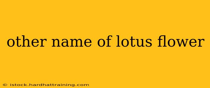 other name of lotus flower