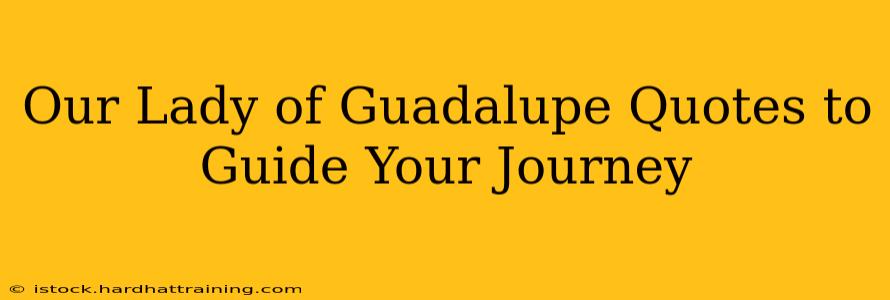 Our Lady of Guadalupe Quotes to Guide Your Journey