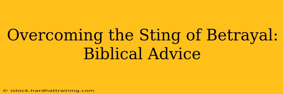 Overcoming the Sting of Betrayal: Biblical Advice