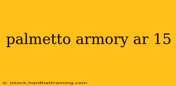 palmetto armory ar 15