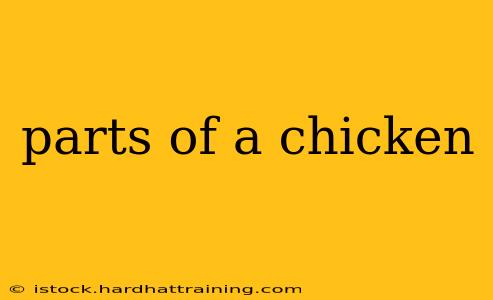 parts of a chicken
