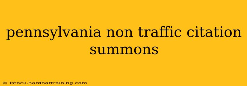 pennsylvania non traffic citation summons