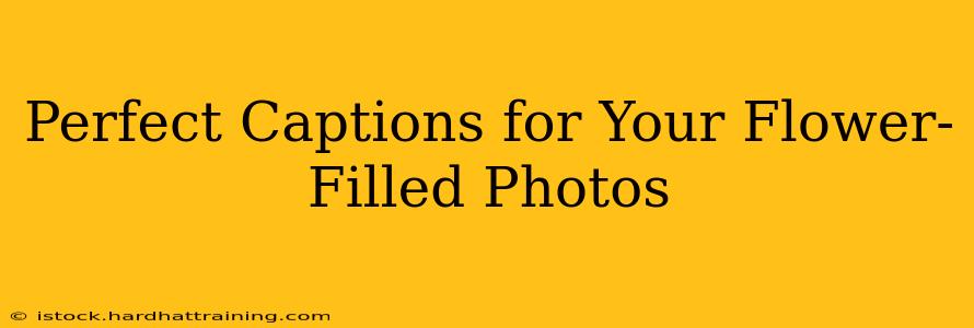 Perfect Captions for Your Flower-Filled Photos