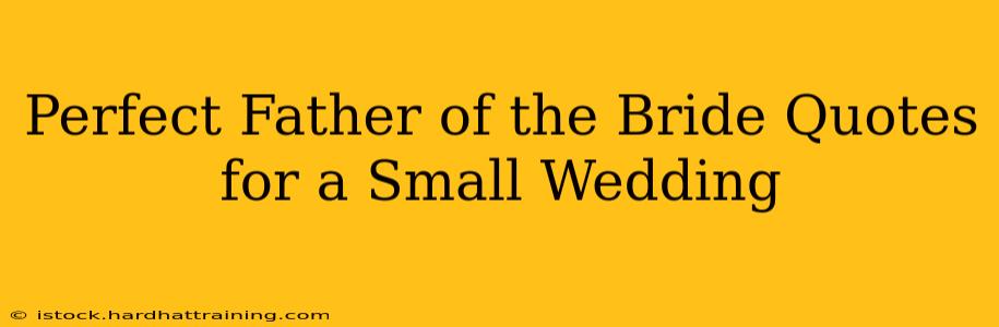 Perfect Father of the Bride Quotes for a Small Wedding