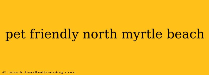 pet friendly north myrtle beach