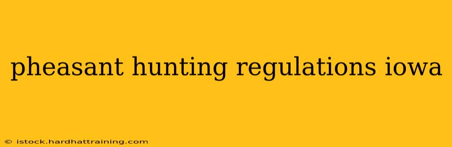 pheasant hunting regulations iowa