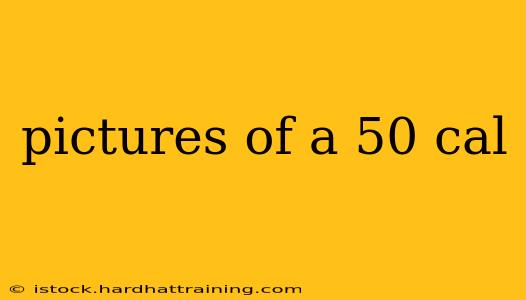 pictures of a 50 cal