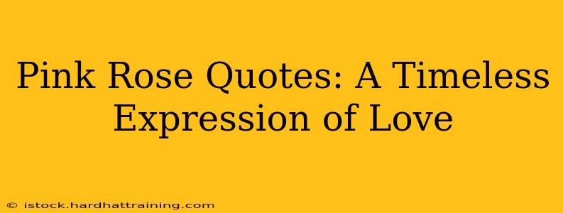 Pink Rose Quotes: A Timeless Expression of Love