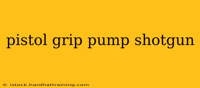 pistol grip pump shotgun