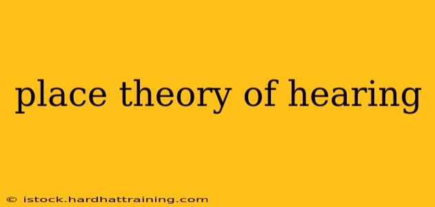place theory of hearing