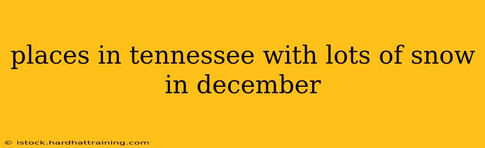 places in tennessee with lots of snow in december