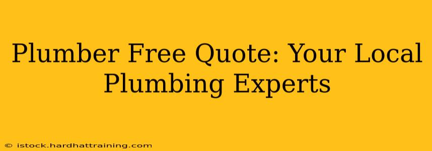 Plumber Free Quote: Your Local Plumbing Experts