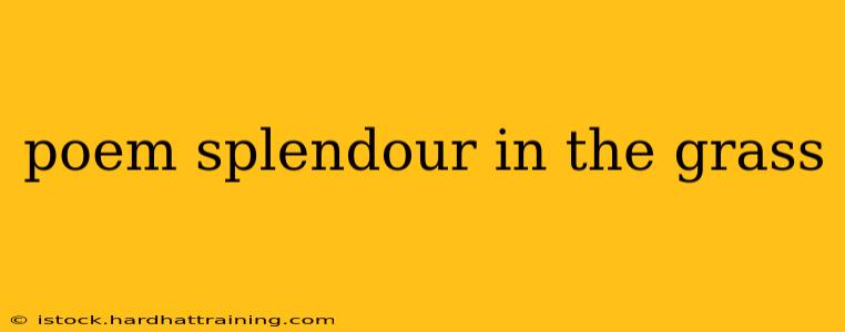 poem splendour in the grass