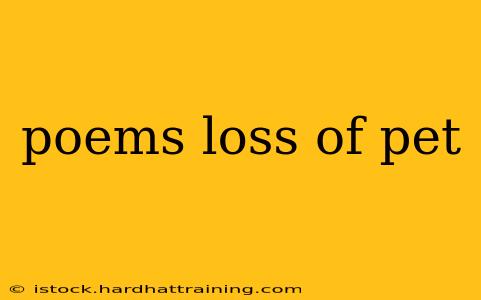 poems loss of pet