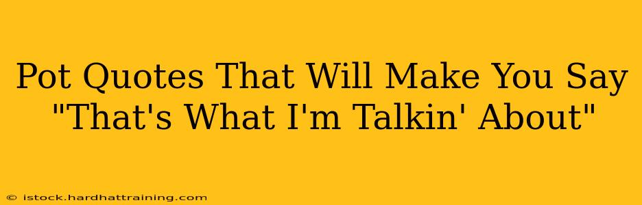 Pot Quotes That Will Make You Say "That's What I'm Talkin' About"