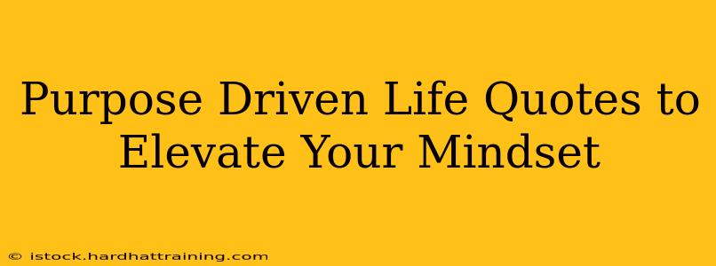 Purpose Driven Life Quotes to Elevate Your Mindset