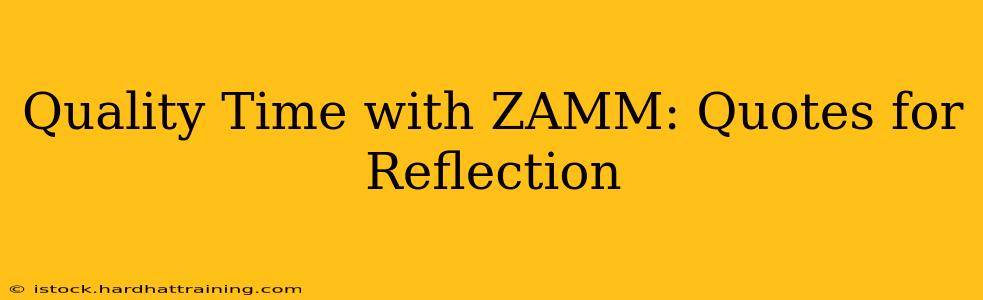 Quality Time with ZAMM: Quotes for Reflection