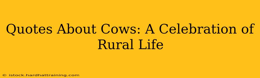 Quotes About Cows: A Celebration of Rural Life