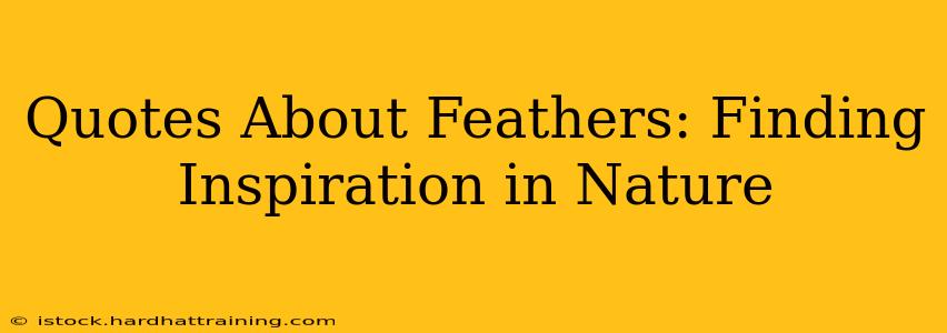 Quotes About Feathers: Finding Inspiration in Nature