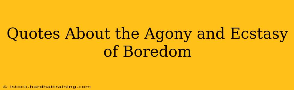 Quotes About the Agony and Ecstasy of Boredom
