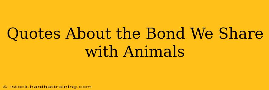 Quotes About the Bond We Share with Animals
