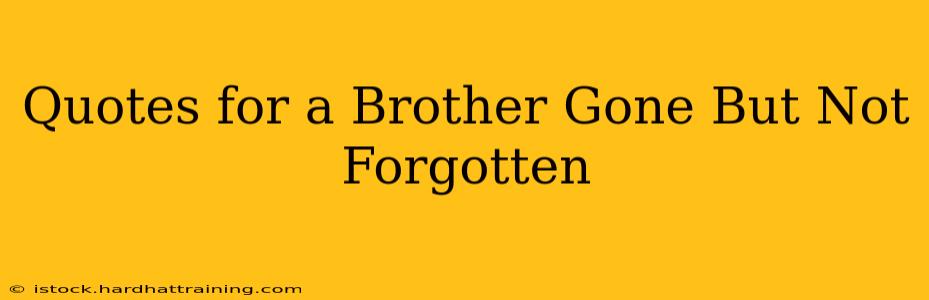 Quotes for a Brother Gone But Not Forgotten