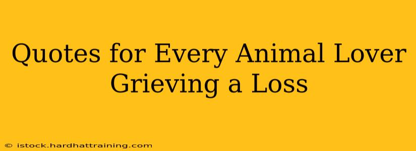 Quotes for Every Animal Lover Grieving a Loss