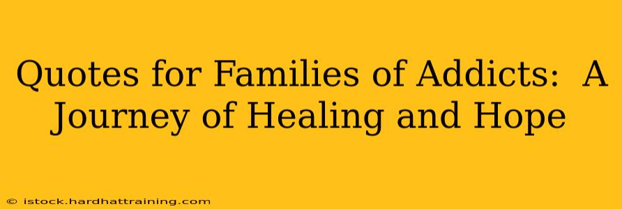 Quotes for Families of Addicts:  A Journey of Healing and Hope