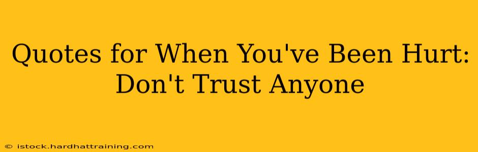 Quotes for When You've Been Hurt: Don't Trust Anyone