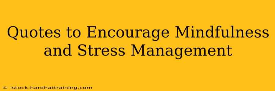 Quotes to Encourage Mindfulness and Stress Management