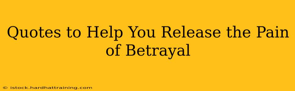 Quotes to Help You Release the Pain of Betrayal