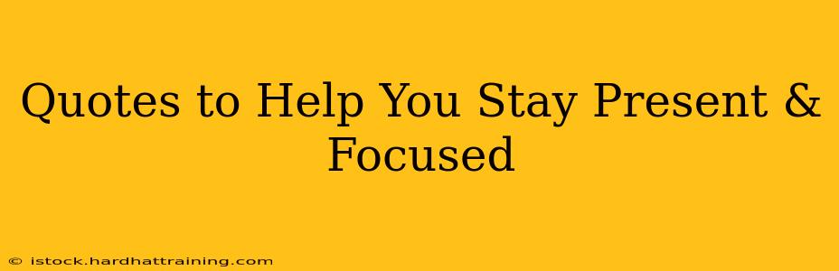 Quotes to Help You Stay Present & Focused