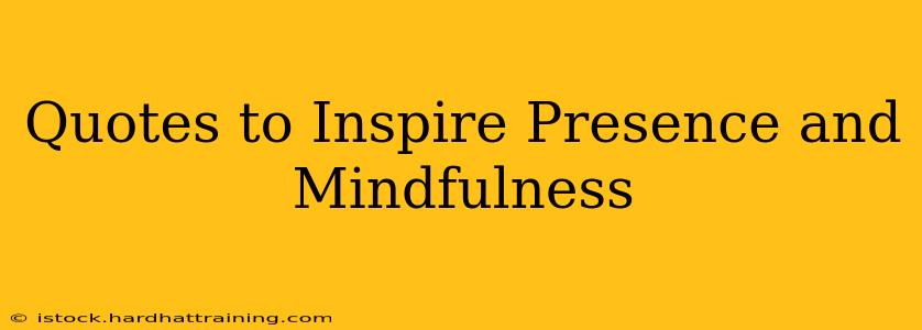 Quotes to Inspire Presence and Mindfulness