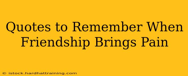 Quotes to Remember When Friendship Brings Pain