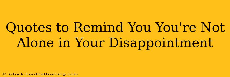 Quotes to Remind You You're Not Alone in Your Disappointment