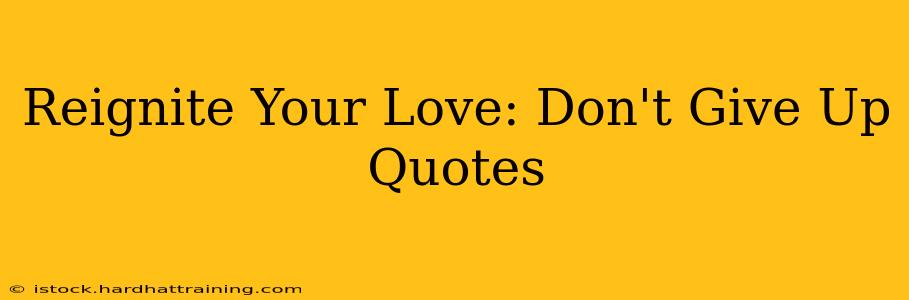 Reignite Your Love: Don't Give Up Quotes