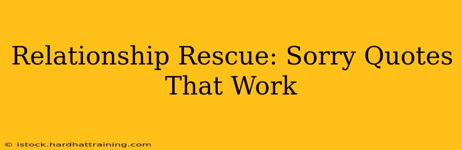 Relationship Rescue: Sorry Quotes That Work