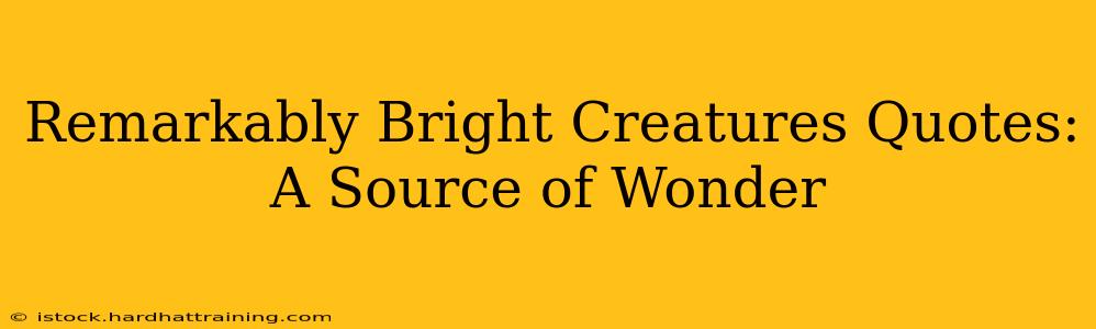 Remarkably Bright Creatures Quotes: A Source of Wonder